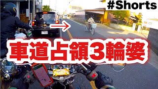 車道占領しているこの通りのボスいた。【モトブログ】#Shorts