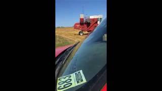 International 403 Combine