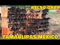 Beautiful Giros Grey Kelso Gueromel Farm Tamaulipas Mexico