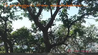 To Pratapgarh from Mahabaleshwar...rhe pune diary