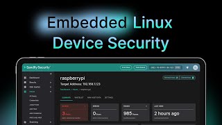 Agentless Embedded Linux Device Security on Raspberry Pi