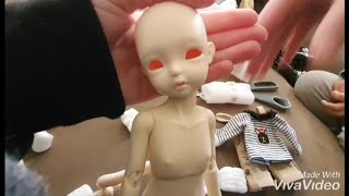 ShouShou Doll 猫饼 [BJD Unboxing]