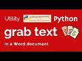 Grab text from Word document with Python
