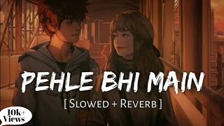 Pehle Bhi Main (Slowed + Reverb) | Vishal Mishra | Animal | #RelaxingRhythm
