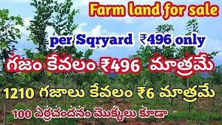 ₹ 496 per sqryard || 6 lakhs only|| 1210 గజాలు కేవలం 6 లక్షలు మాత్రమే ||