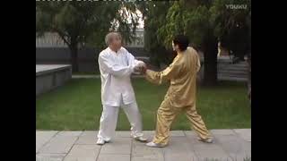 形意拳中级篇：十五种打法 李春光 #kungfu #martialarts