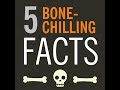 Bone-chilling facts about your bones!