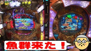 【70日目】海物語3R、新海物語[おまめサンシローのまめパチ日記/ゴラッジョTV]ゲスト：ゴンゴール氏原