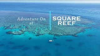 A Stunning Coral Garden at Square Reef 2024