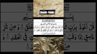 surah falak in Surat kul aauJu Bi rabbil falak  Urdu Arabic voice _  aalima Doray hadees