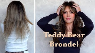 Tori's Teddy Bear Bronde Transformation!