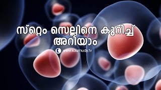 സ്റ്റം   സെൽസിനെ കുറിച്ചു അറിയാം