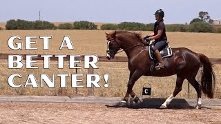 How To School A Horse To Improve The Canter