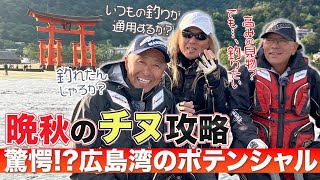 【晩秋のチヌ攻略】驚愕!?広島湾のポテンシャル【広島県宮島】