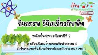 กิจกรรมบ้านนักวิทยาศาสตร์น้อย ป.2 (วิจัยเกี่ยวกับพืช)