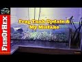 Frag Tank Update & My Mistake