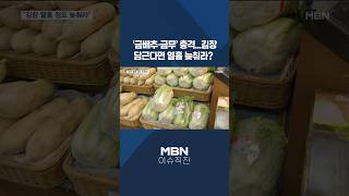 [이슈 직진] '금배추·금무' 충격...김장 담근다면 열흘 늦춰라? #shorts #뉴스7 | MBN 241030 방송