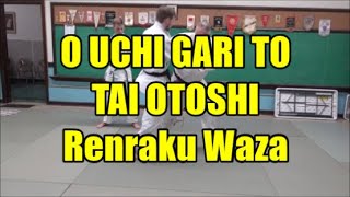 O UCHI GARI TO TAI OTOSHI RENRAKU WAZA