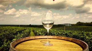 Virginia Tourism:  October is Wine Month