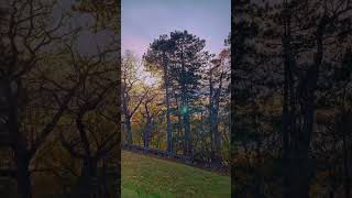 #pinegrove #cemetery #lynn #massachusetts #cemeterywandering