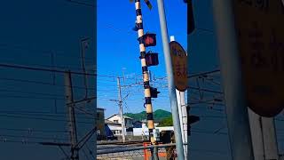 姫新線上郡駅　黄色い電車　食パンの断面の様な顔