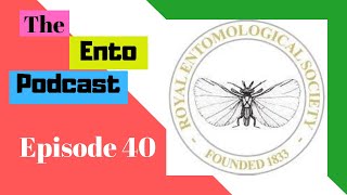 The Ento Podcast | Episode 40 | Insects as food and feed conference