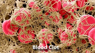 Things Under MicroScope (Part 1)