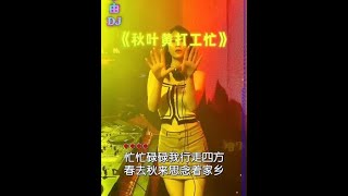 秋叶黄打工忙。#车载音乐 #中文dj #跟着节奏嗨起来 #车载u盘 #越听越上头