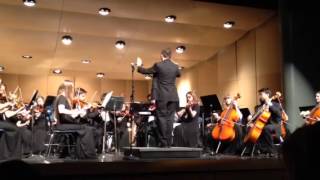 Matt and D117 Orchestra