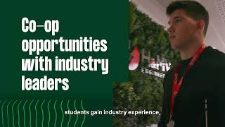 BEng in Electronic and Computer Engineering at UL