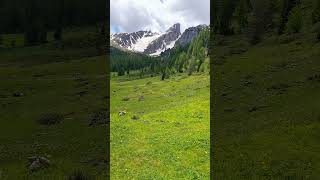 Panorama mozzafiato sulle Dolomiti-Passo Giau