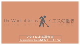 マタイによる福音書 10:26-31 (2月20日）