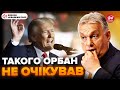 ⚡Трамп поставив Орбана НА МІСЦЕ! Зустріч у США пішла НЕ ЗА ПЛАНОМ. Угорець готує ВТЕЧУ до Москви