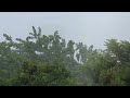 miraculous hurricane harvey drift into deep sleep with the sounds of heavy rain and thunder