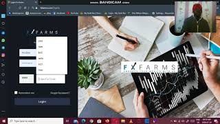 My Success With FXFARMS