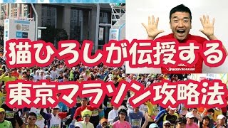 猫ひろしが伝授！東京マラソン2017　コース攻略と心構え