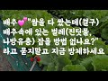 배추💕 쌈을 다 쌌는데(결구) 배추속 벌레 어떻게 잡나요? 라고 묻지말고 지금(?) 방제하세요 👍