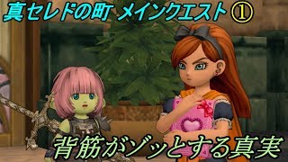 ドラゴンクエスト１０　Version2【PS4 初見プレイ】 #１３１ 真セレドの町メインクエスト 真実を知ると背筋がゾッとするようなクエスト kazuboのゲーム実況