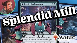 $77 Splendid Mill 🔵🦀🟢 Standard Budget Magic