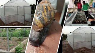 Watch This Before Investing in Snails!