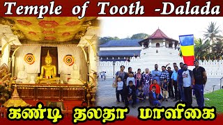 Kandy Sri Dalada Maligawa Tour | Temple of the Tooth | கண்டி தலதா மாளிகை சுற்றுப்பயணம் | Travel Vlog