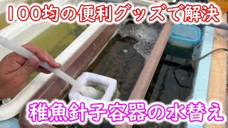 【めだか】意外と神経を使う稚魚針子容器の水替えが楽チンに！Ｂ型おやじ