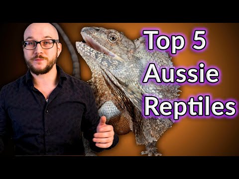 What lizards can I own in Australia?