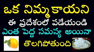 ఒక నిమ్మకాయ ని ఈ ప్రదేశంలో పడేయండి ఎంత పెద్ద సమస్య అయినా తొలగిపోతుంది