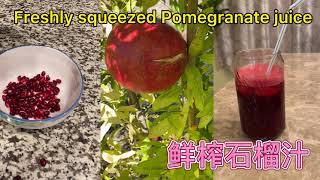 Freshly Made Pomegranate Juice (Fast and Easy)  快速制作好喝的鲜榨石榴汁