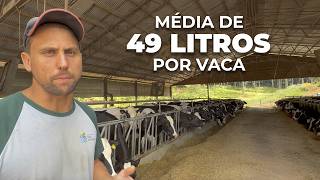 5 MIL LITROS DE LEITE POR DIA COM 105 VACAS EM LACTAÇÃO - AGROPECUÁRIA NOVA ESPERANÇA, BRASIL 🇧🇷