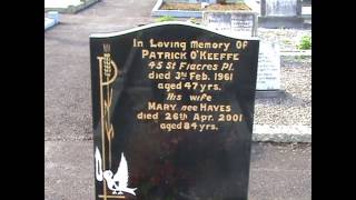 3 Section Row 11  Foulkstown Cemetery Gravestones