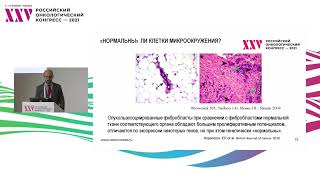 Микроокружение опухоли: почему это важно?