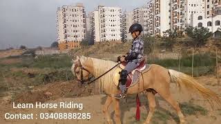 Kids Horse Riding