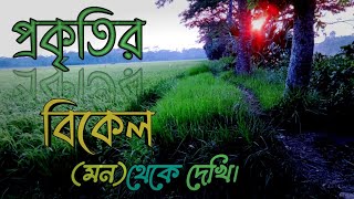 অনেক সুন্দর একটি গ্রাম | গ্রামের বিকেলের একটি মুহূর্তে, মিস করবেন না।